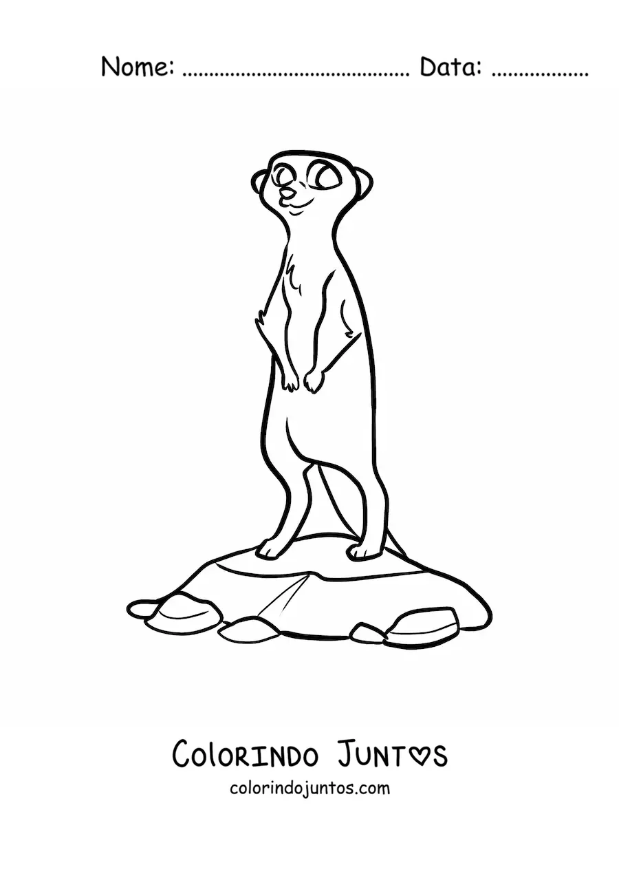 Desenho para colorir de um suricato do deserto