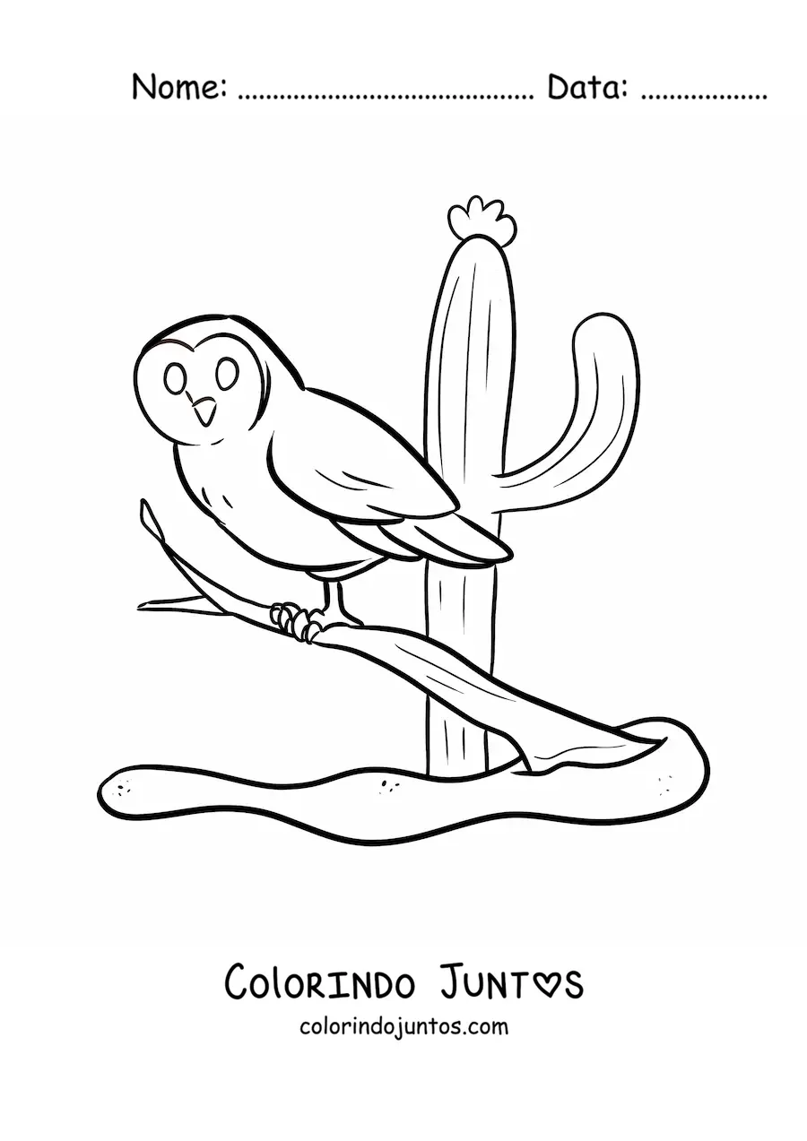 Desenho para colorir de uma coruja do deserto