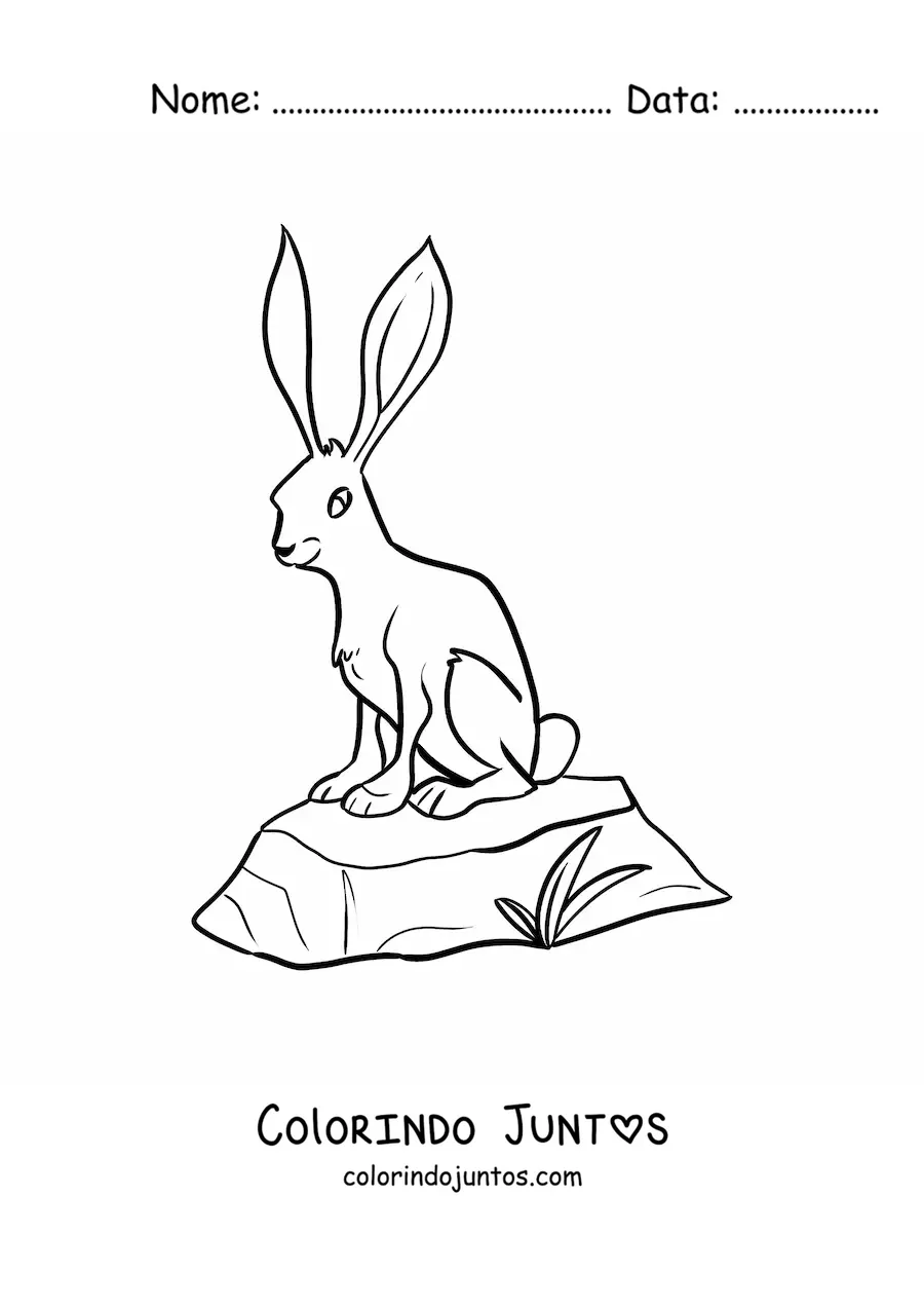 Desenho para colorir de uma lebre do deserto