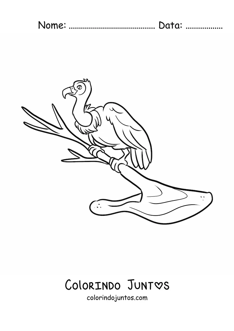 Desenho para colorir de um abutre do deserto