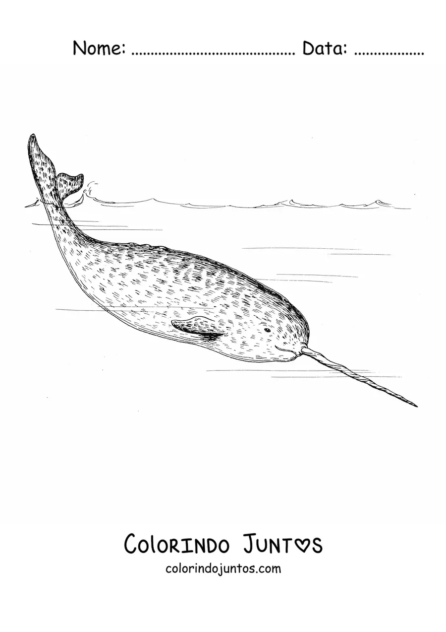 Desenho para colorir de um narval nadando no mar