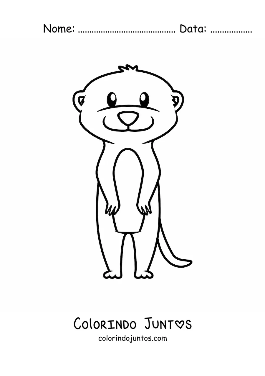 Desenho para colorir de um suricato do deserto em desenho animado