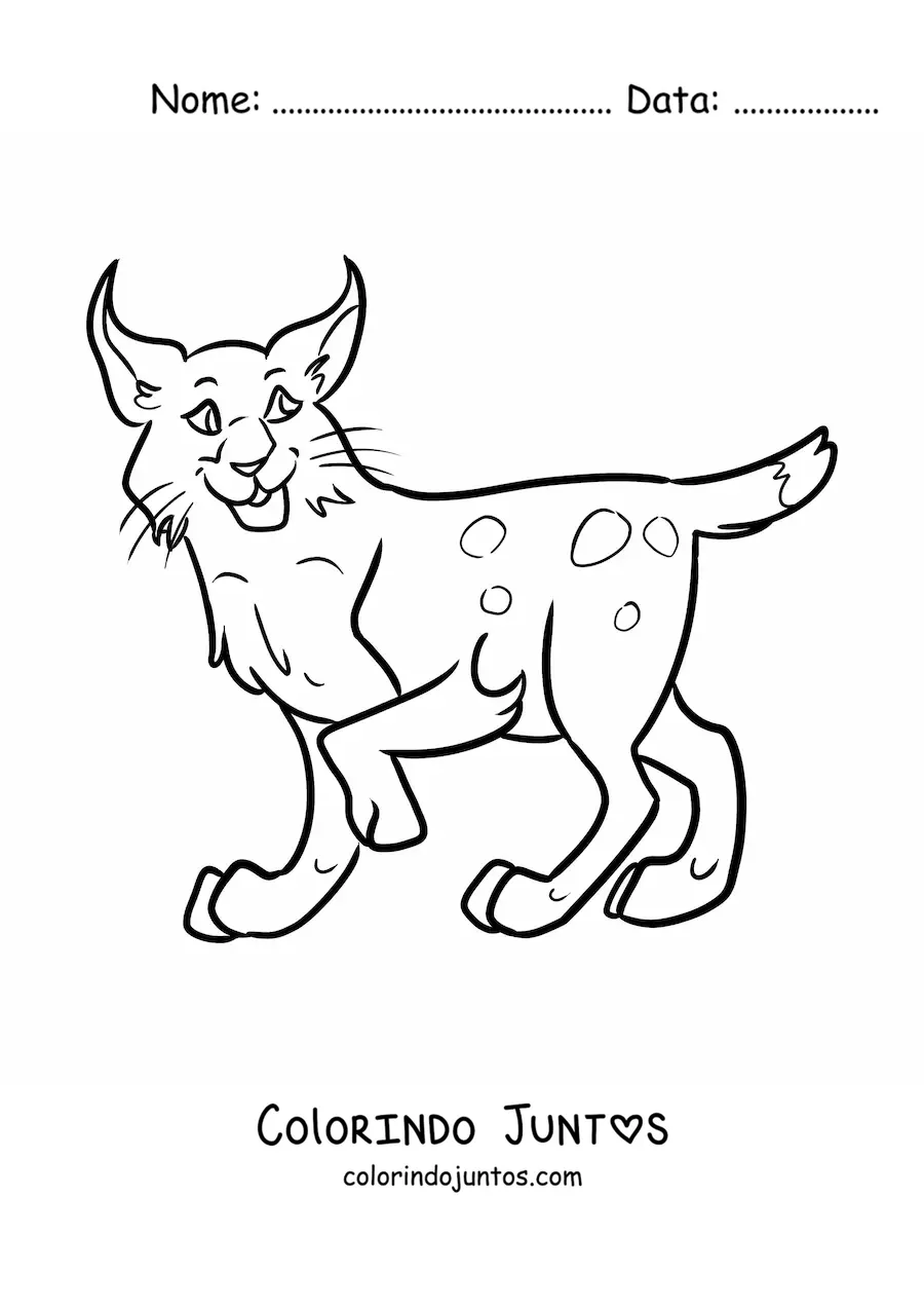 Desenho para colorir de um lince do deserto