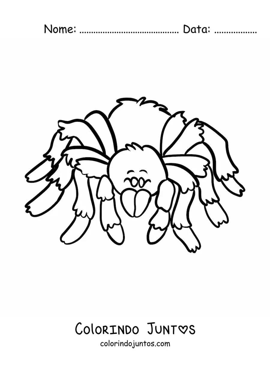 Desenho para colorir de uma aranha do deserto