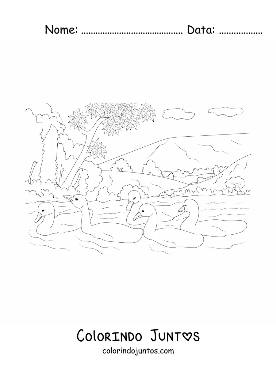 Desenho para colorir de um lago com cisnes
