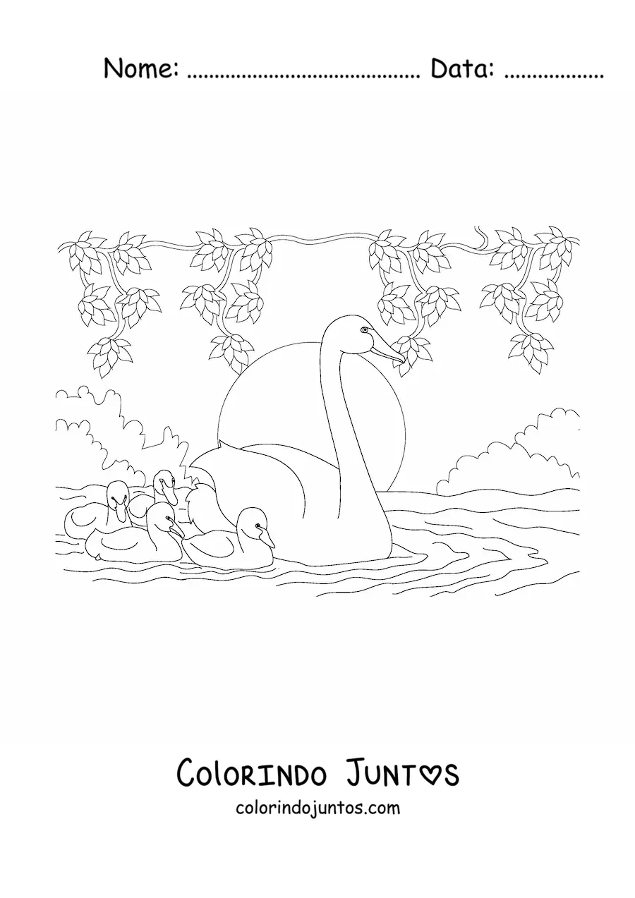 Desenho para colorir de vários cisnes nadando no lago