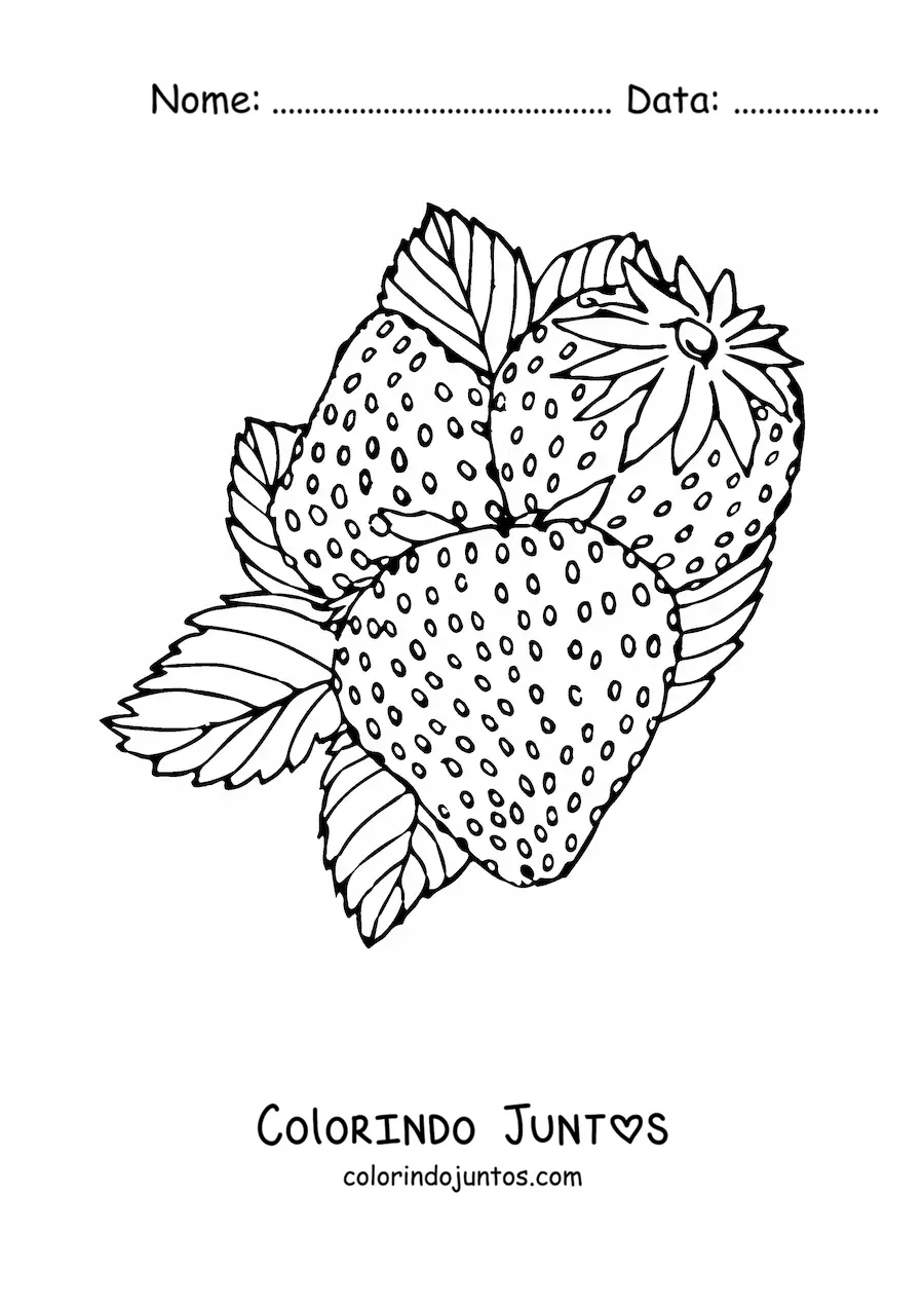 Desenho para colorir de tres morangos silvestres com folhas