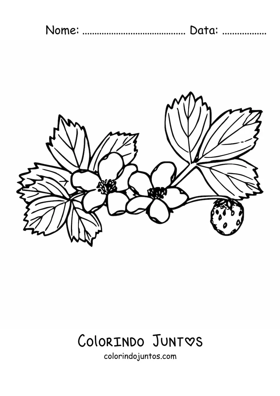 Desenho para colorir de um ramo de arbusto de morangos com flores