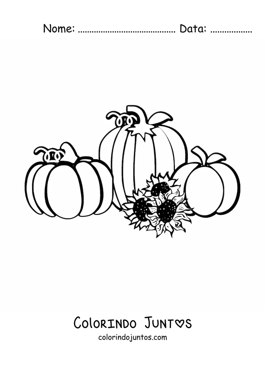 Desenho para colorir de três abóboras ao lado de três girassóis