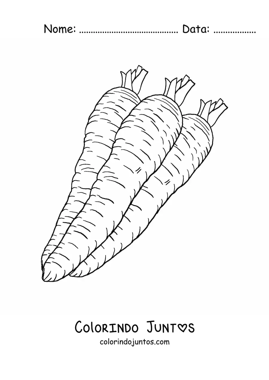 Desenho para colorir de três cenouras realistas