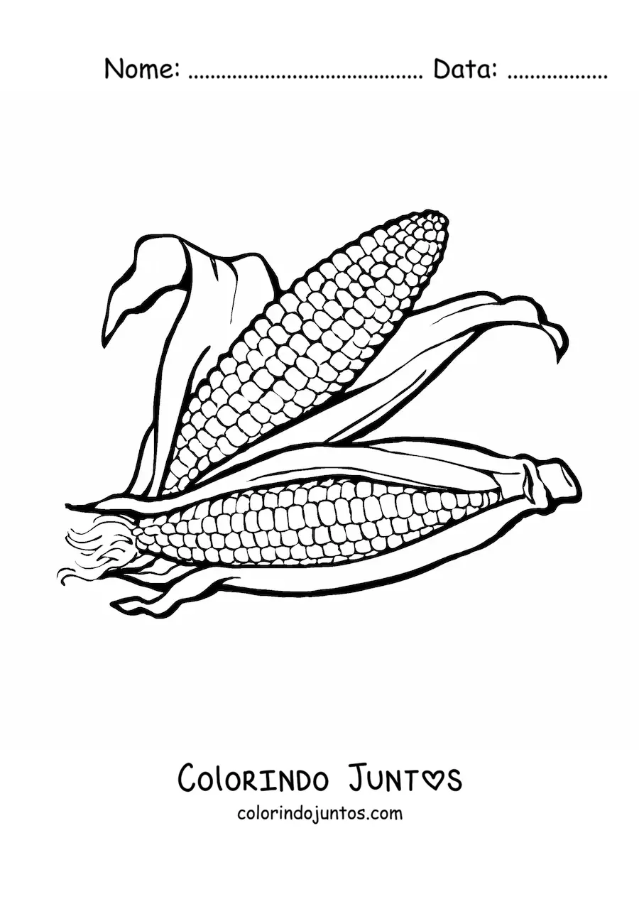 Desenho para colorir de duas espigas de milho realistas