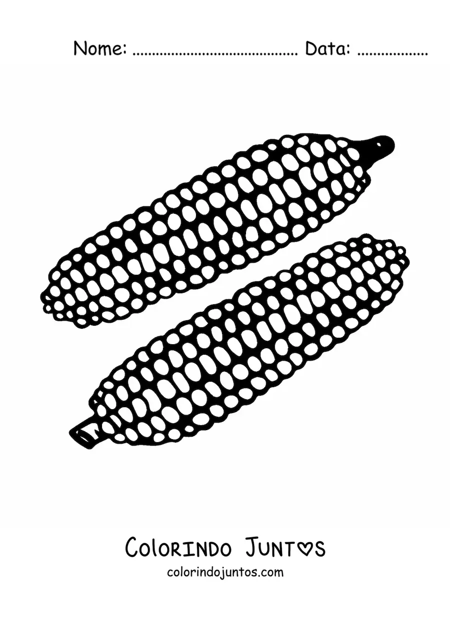 Desenho para colorir de duas espigas de milho