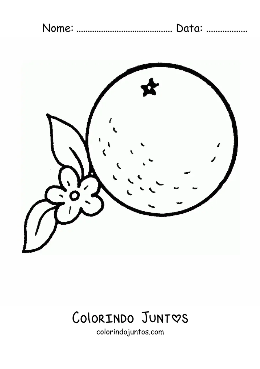 Desenho para colorir de uma laranja ao lado de sua flor