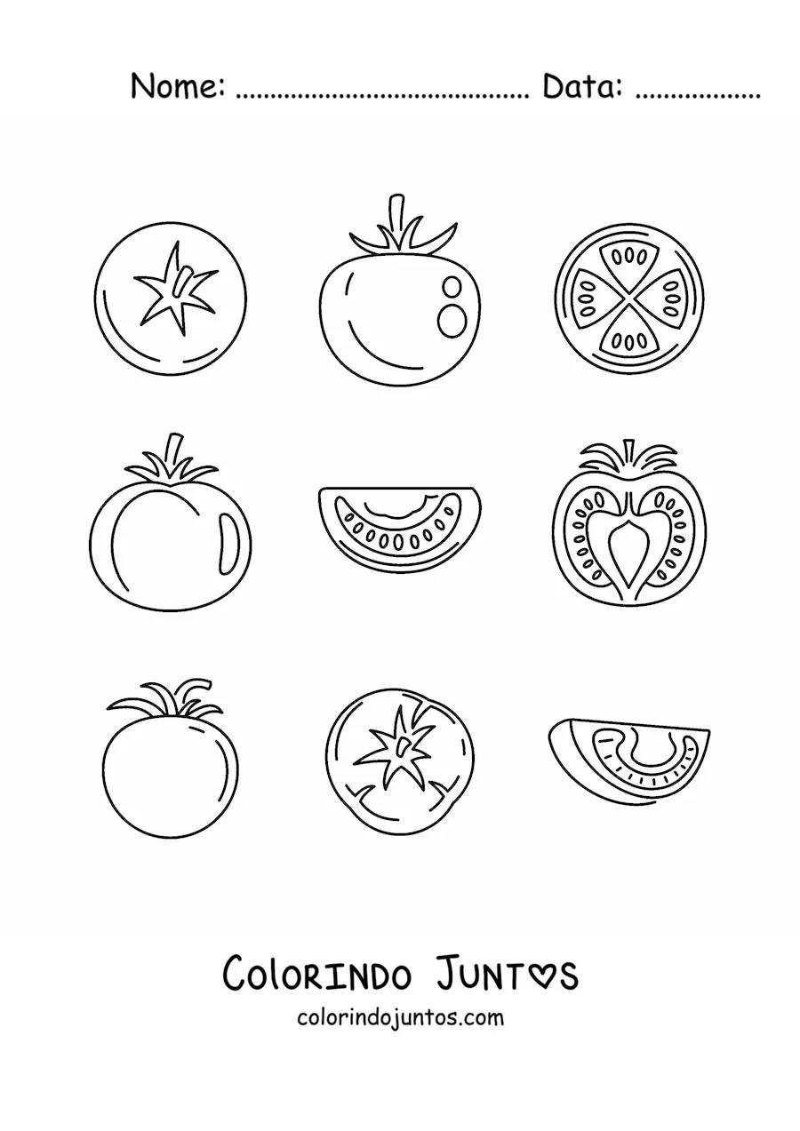 Desenho para colorir das partes do tomate