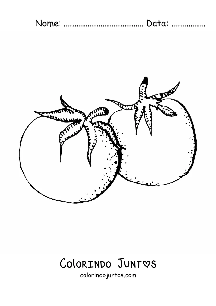 Desenho para colorir de dois tomates realistas
