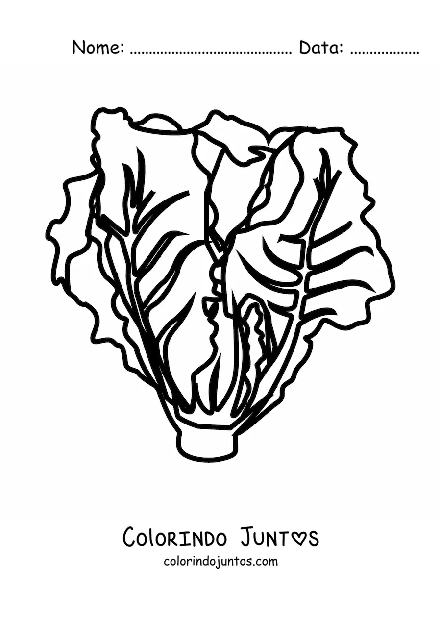 Desenho para colorir de uma alface romana
