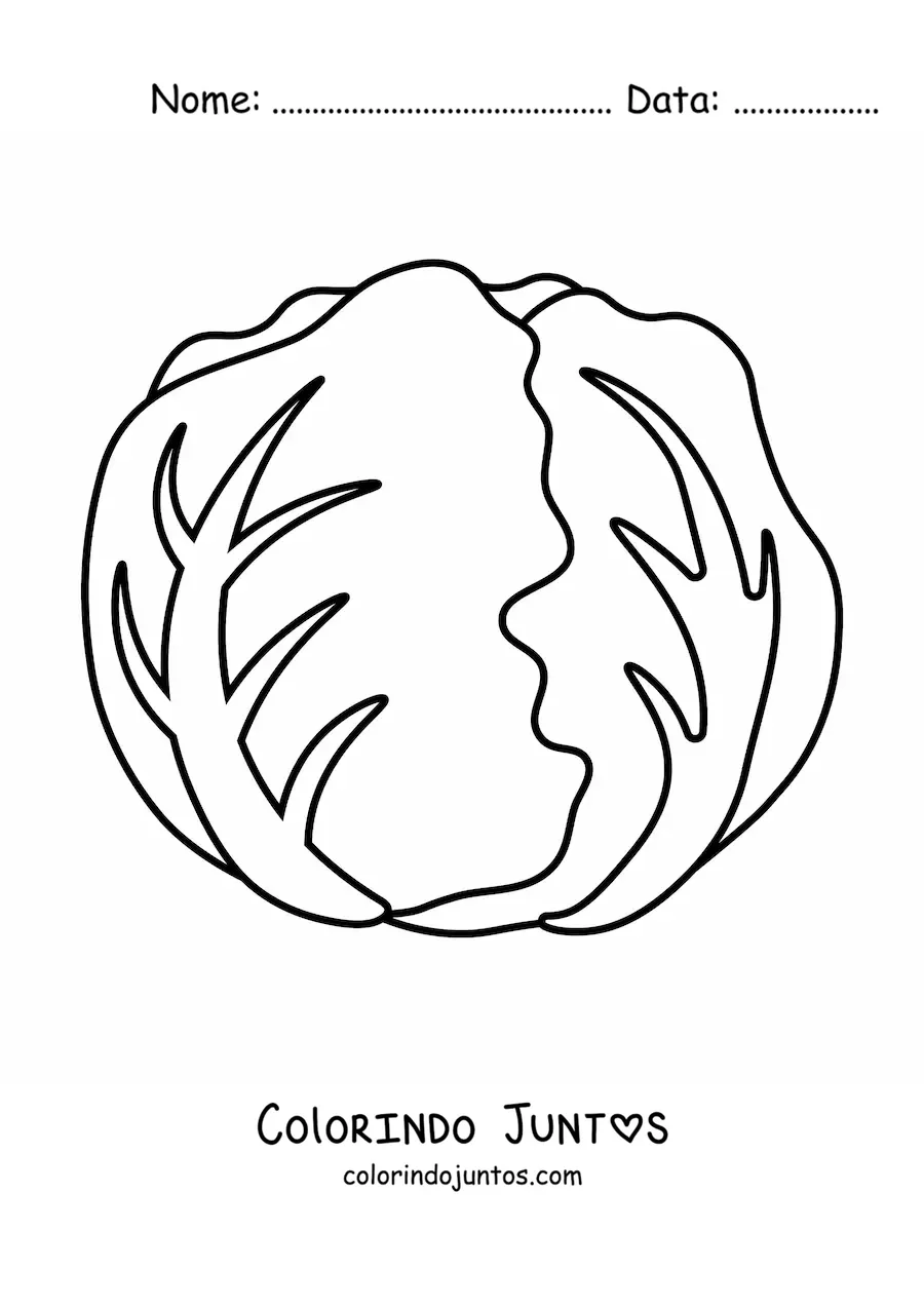 Desenho para colorir de uma alface repolhuda