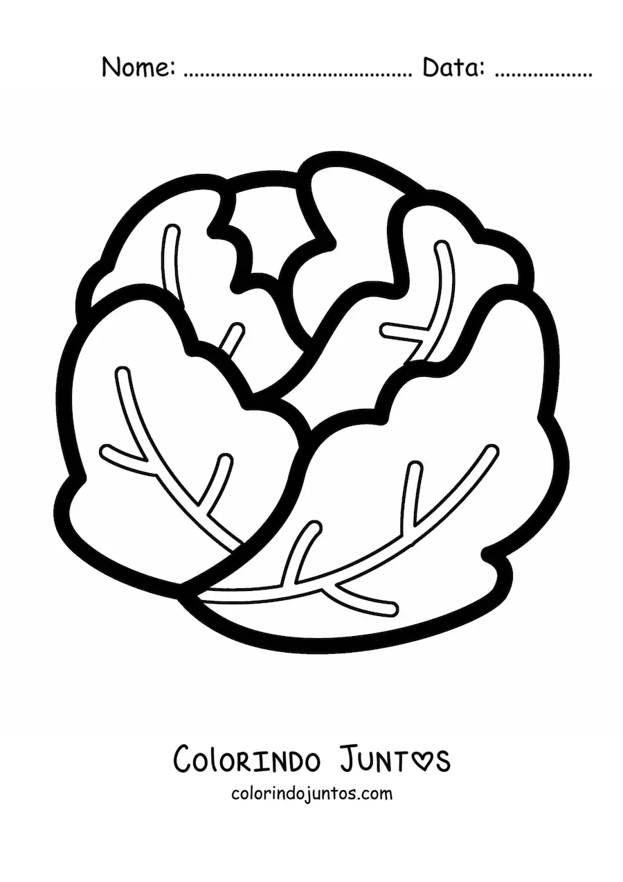 Desenho para colorir de uma alface repolhuda simples
