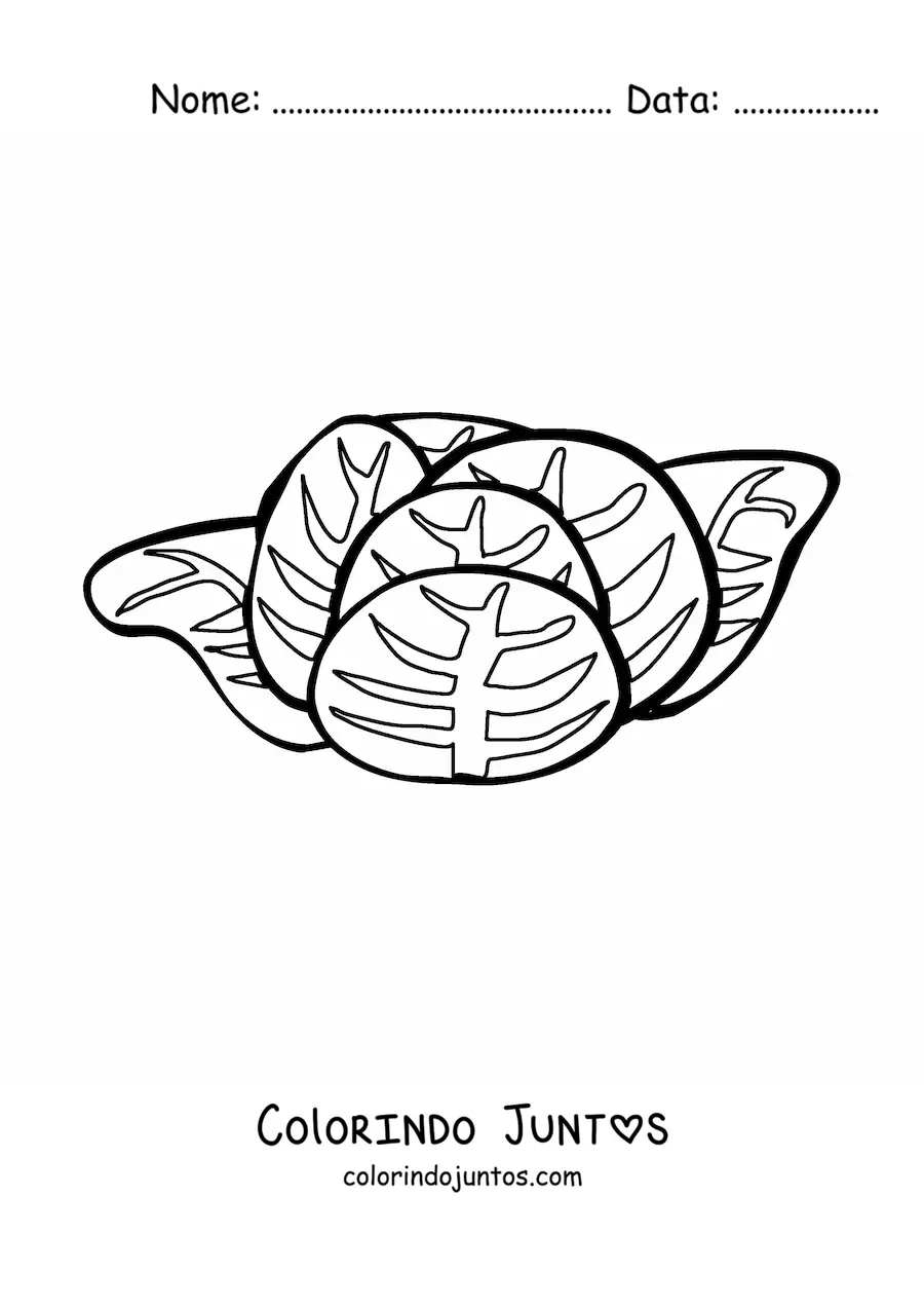 Desenho para colorir de uma alface