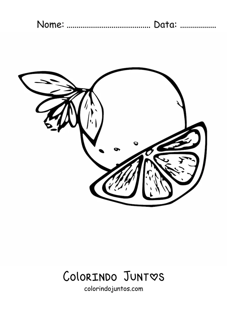 Desenho para colorir de um pedaco de laranja ao lado de uma laranja com flor