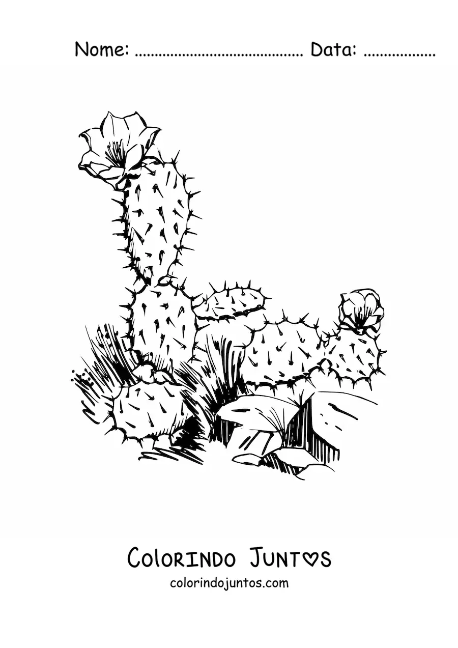 Desenho para colorir de um cacto realista