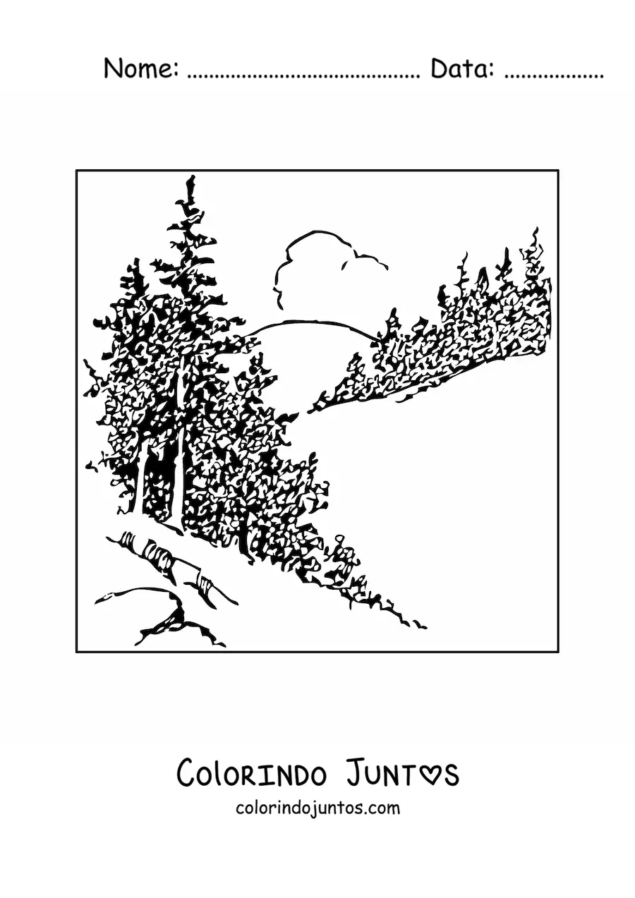 Desenho para colorir de uma paisagem com pinheiros realistas