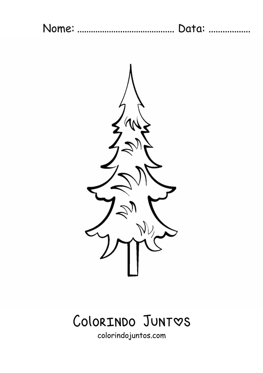 Desenho para colorir de um pinheiro simples