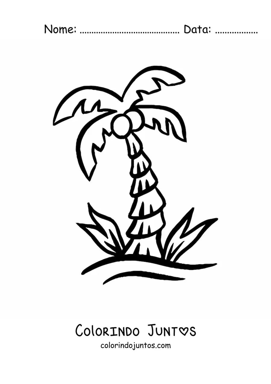 Desenho para colorir de uma palmeira com cocos