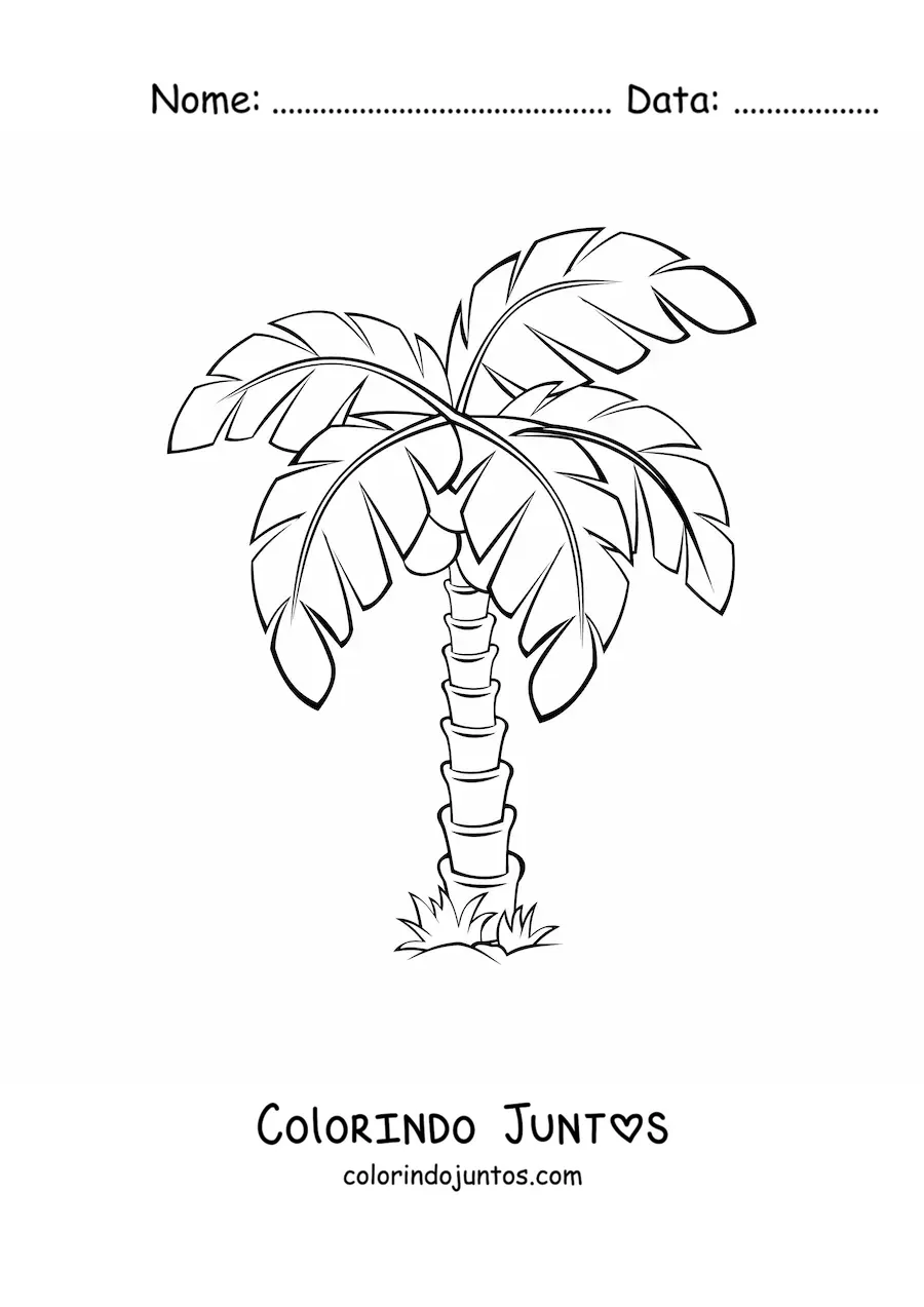 Desenho para colorir de uma palmeira simples