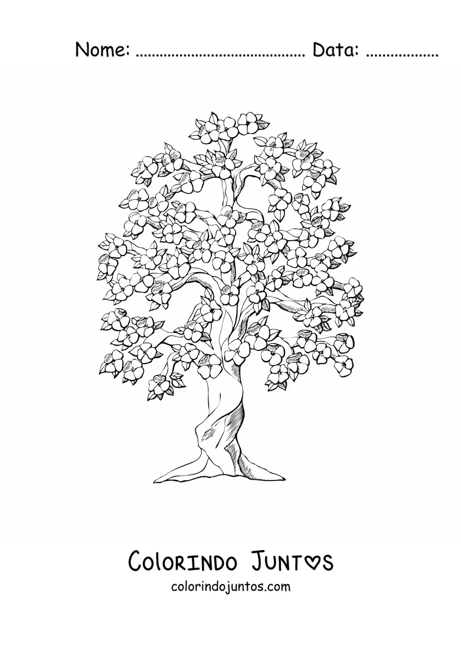 Desenho para colorir de uma cerejeira em flor
