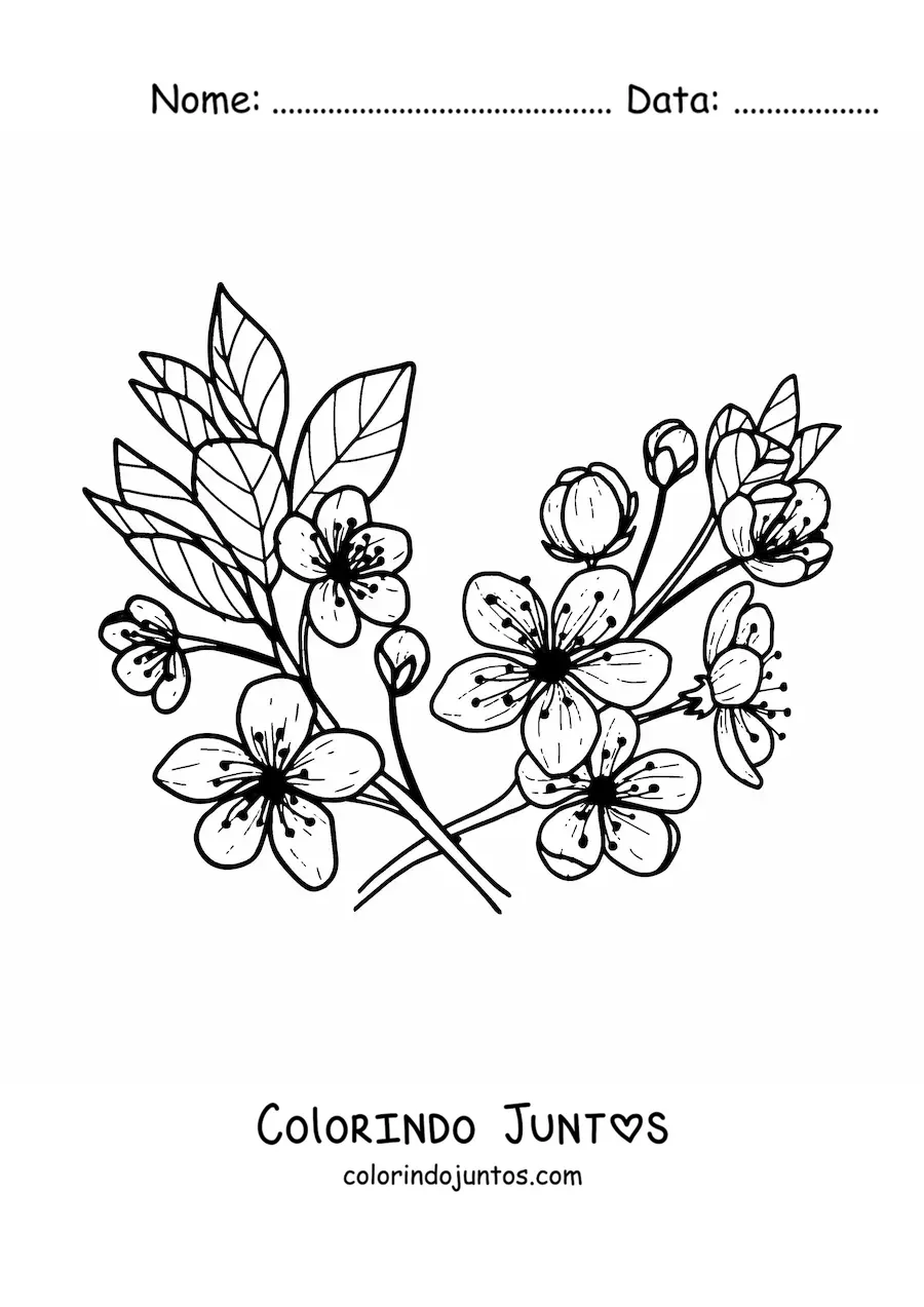 Desenho para colorir de várias flores e folhas de cerejeira