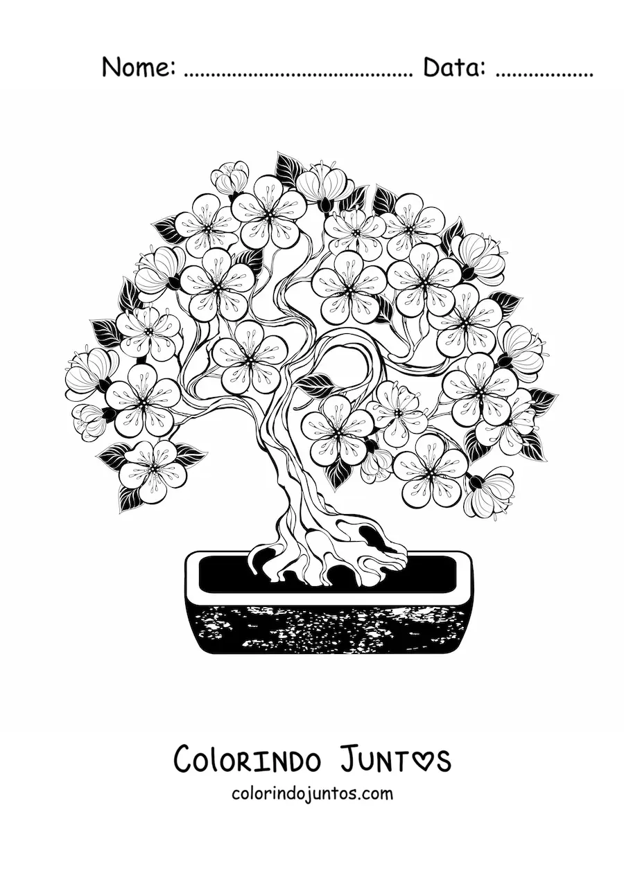 Desenho para colorir de um bonsai de cerejeira
