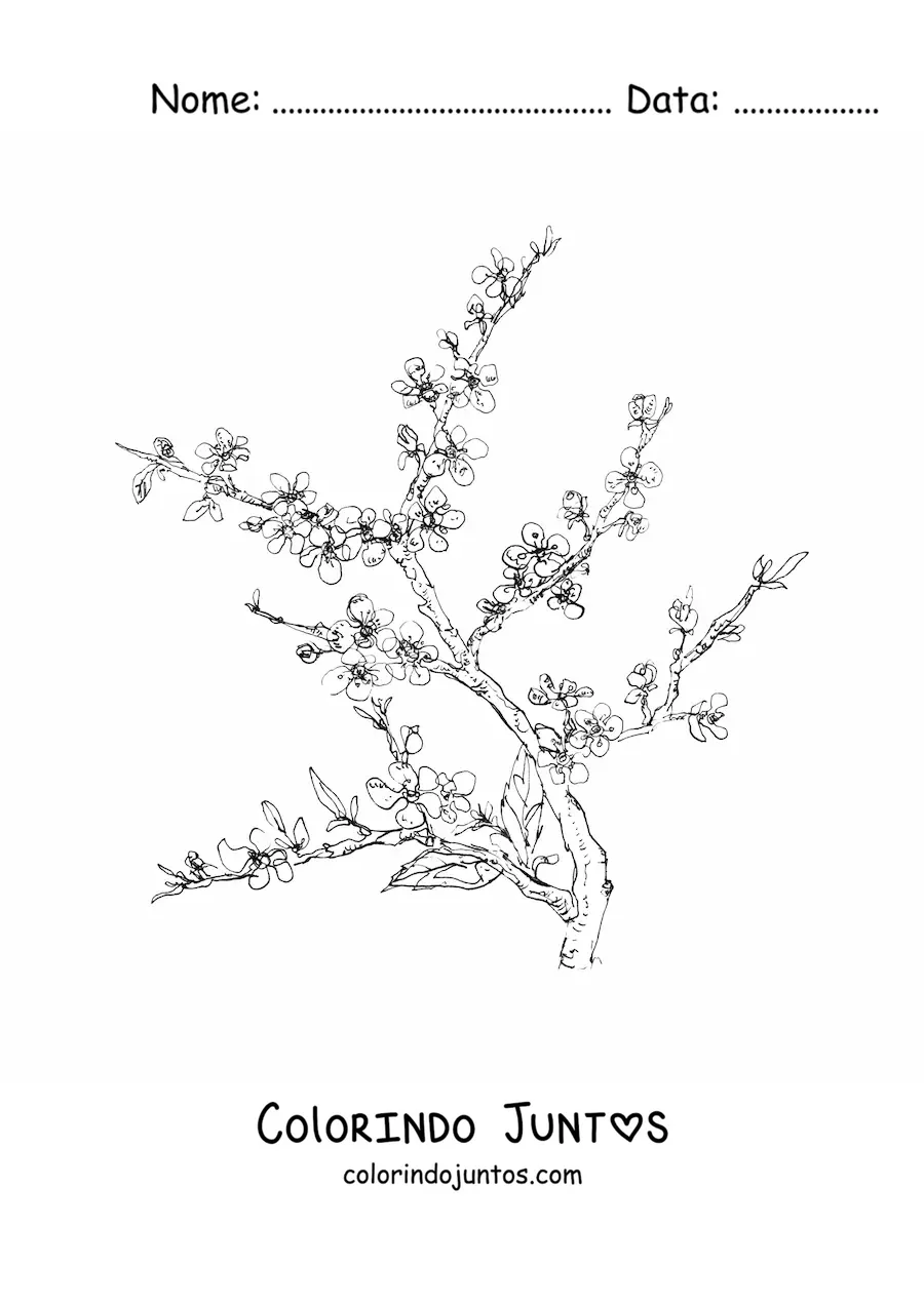 Desenho para colorir de um galho de cerejeira realista