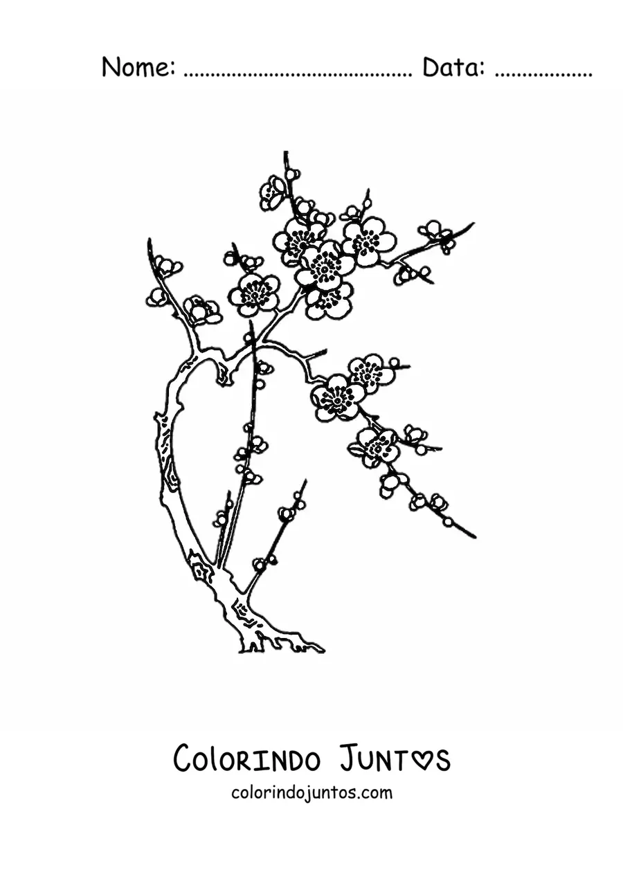 Desenho para colorir de uma cerejeira com flores