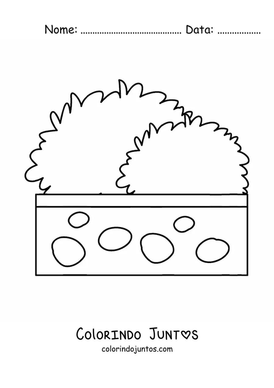 Desenho para colorir de um arbusto em um vaso