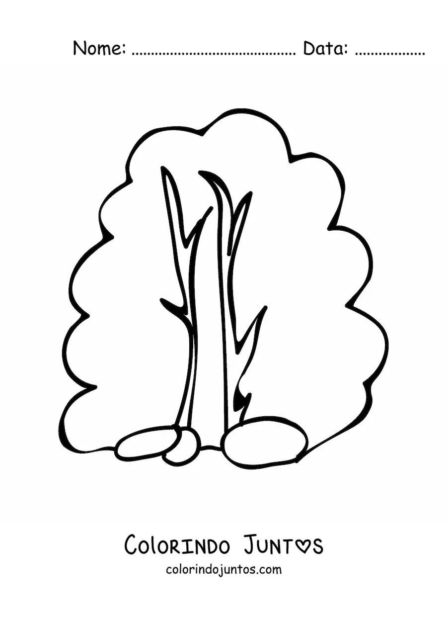 Desenho para colorir de um arbusto grande