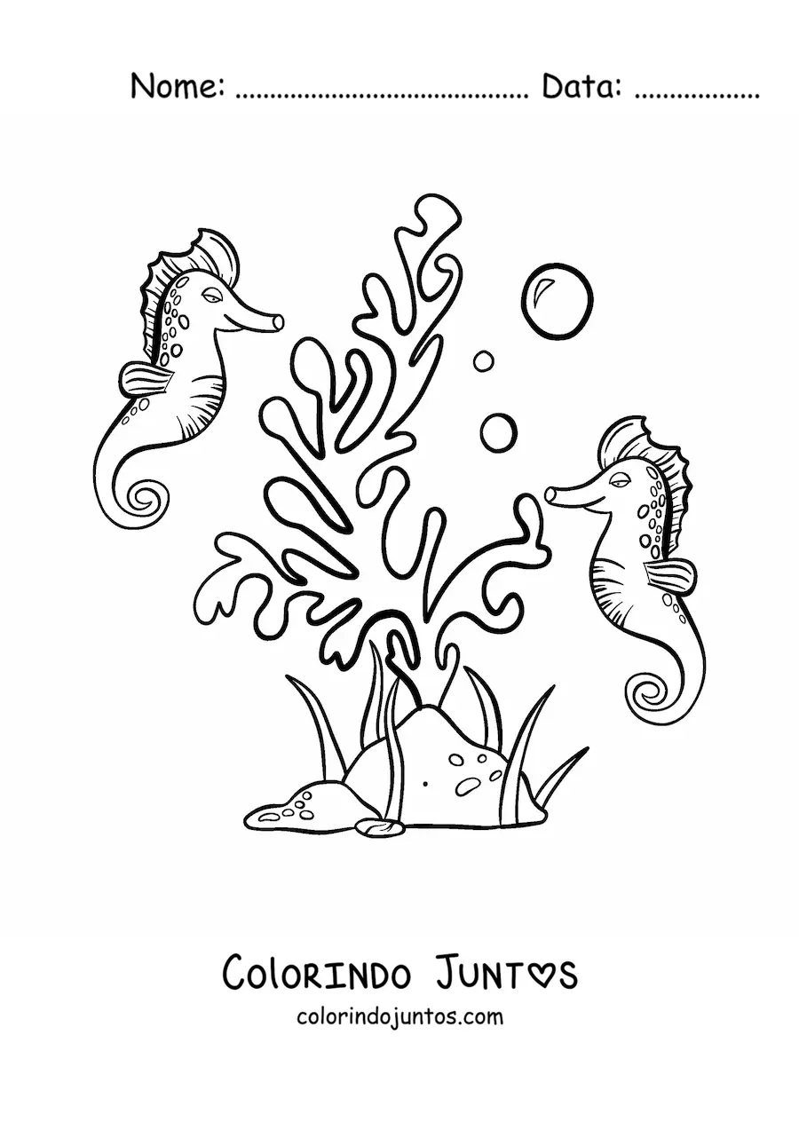 Desenho para colorir de umas algas e dois cavalos-marinhos