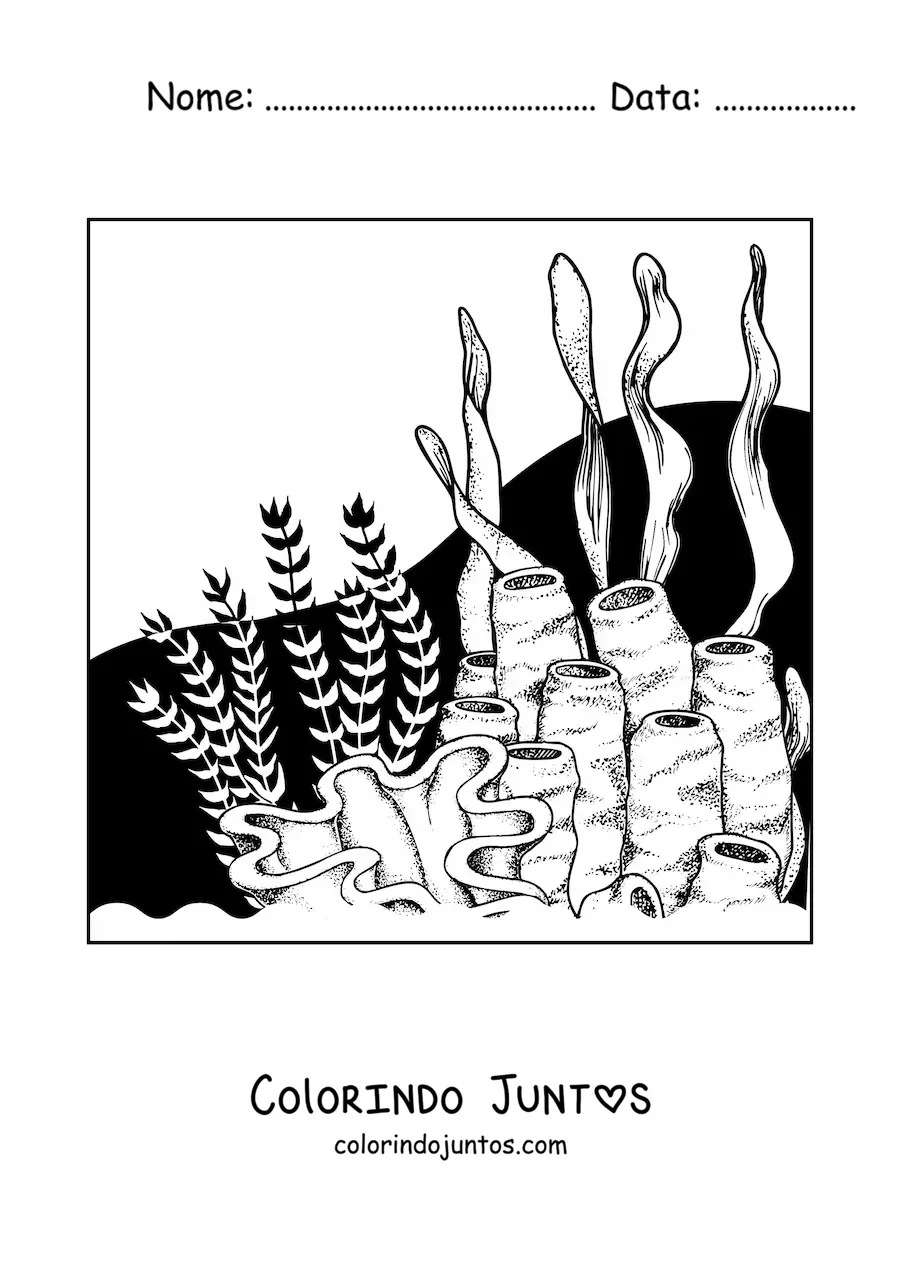 Desenho para colorir de umas algas ao lado de uns corais