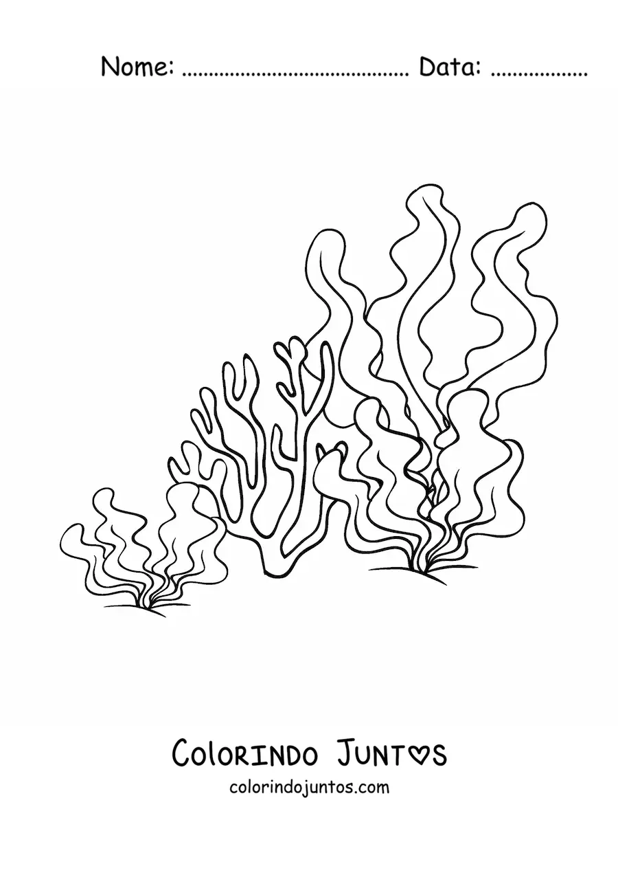Desenho para colorir de umas algas e um coral
