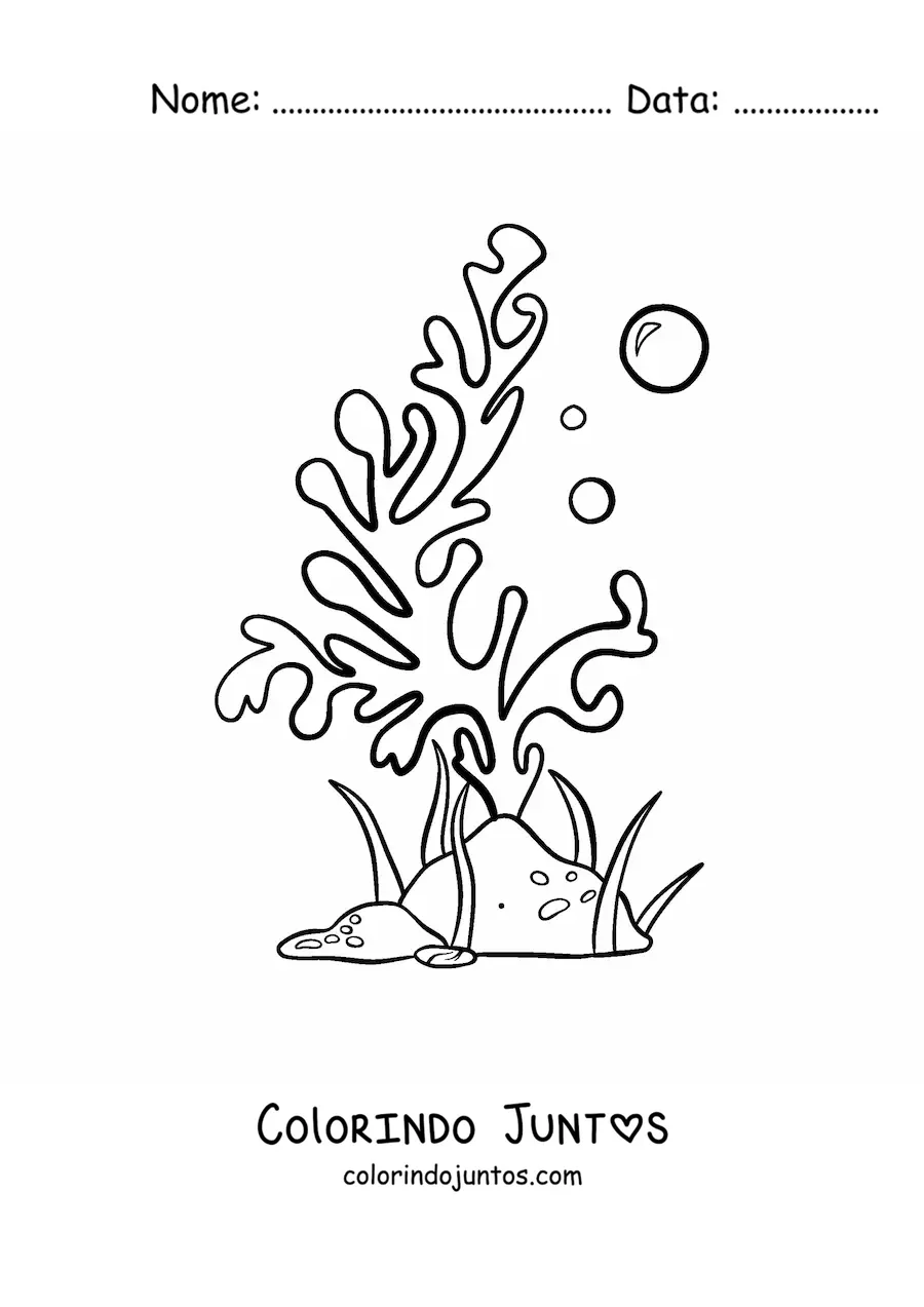 Desenho para colorir de uma alga marinha com duas bolhas ao lado de uma rocha