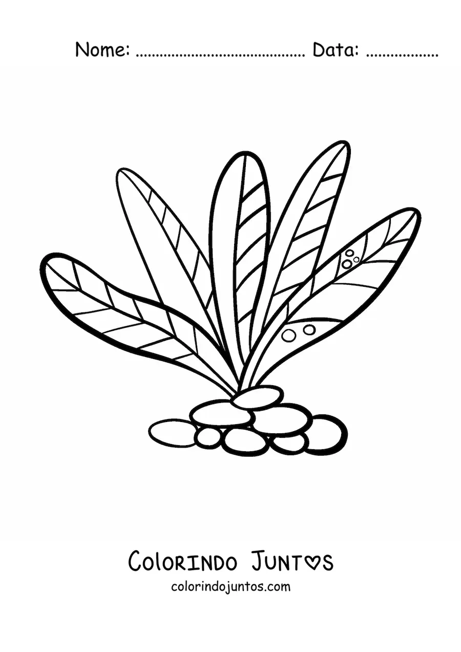 Desenho para colorir de umas algas pluricelulares