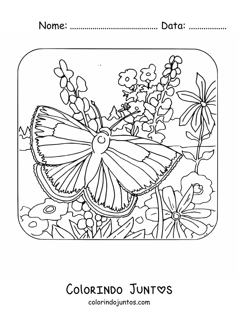 Desenho para colorir de uma borboleta pousando entre flores