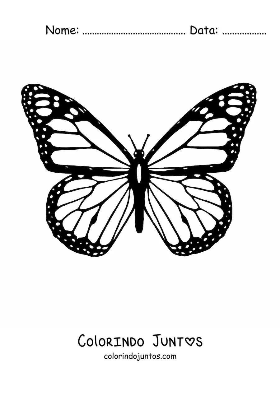 Desenho para colorir de uma borboleta-monarca com as asas abertas