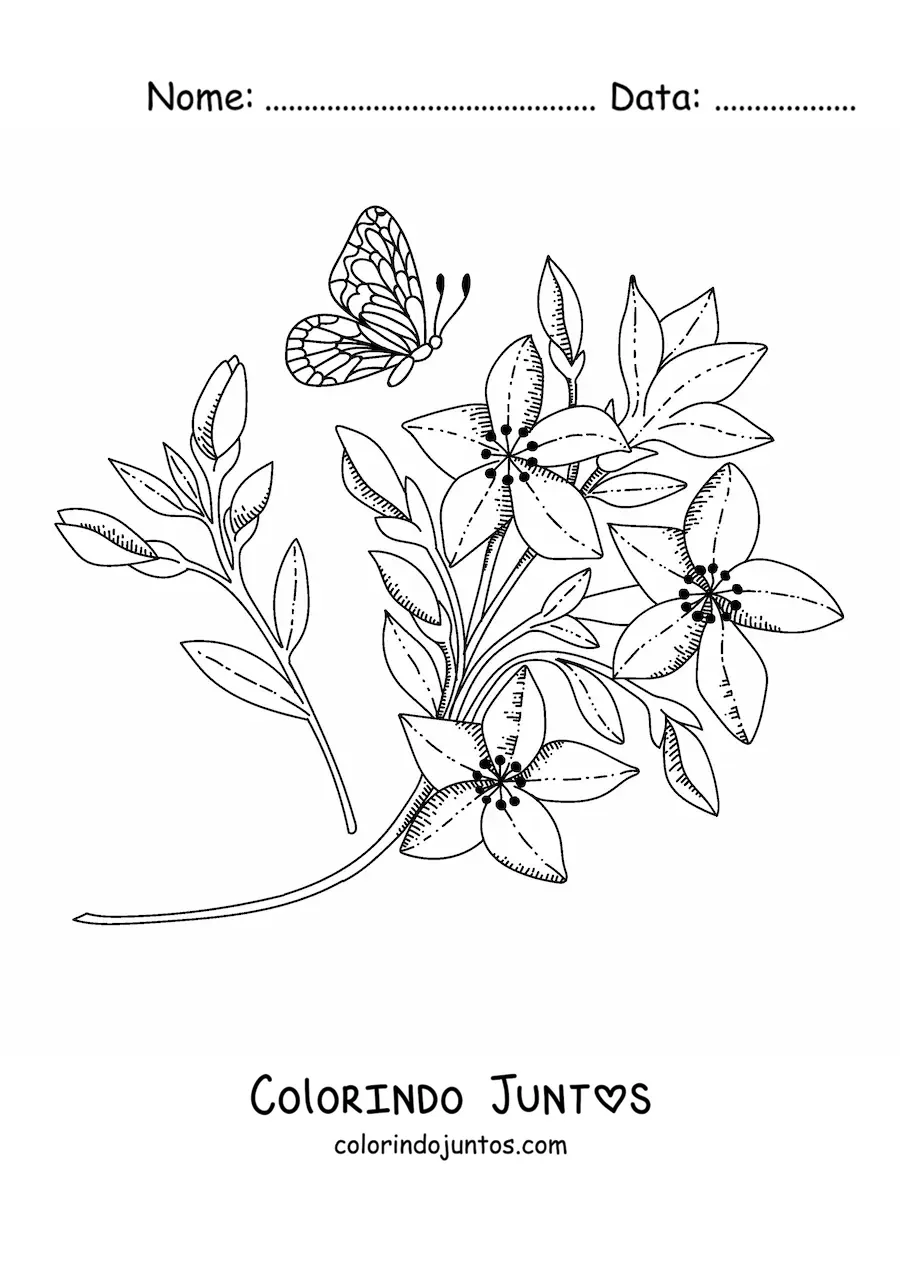 Desenho para colorir de uma borboleta voando em direcao a umas flores