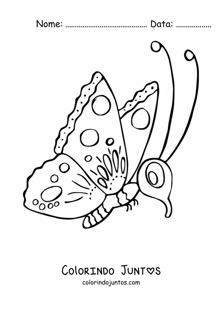 Desenho para colorir de uma borboleta animada de perfil