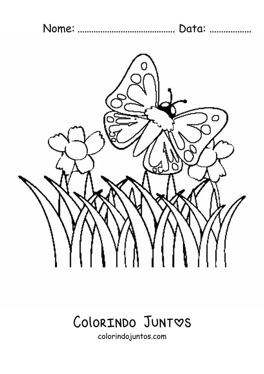Desenho para colorir de uma borboleta voando sobre flores em um campo