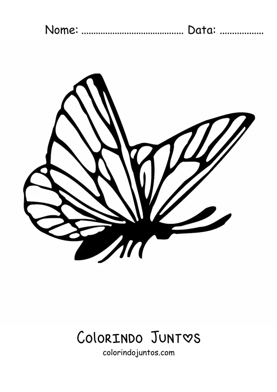 Desenho para colorir de uma borboleta de perfil