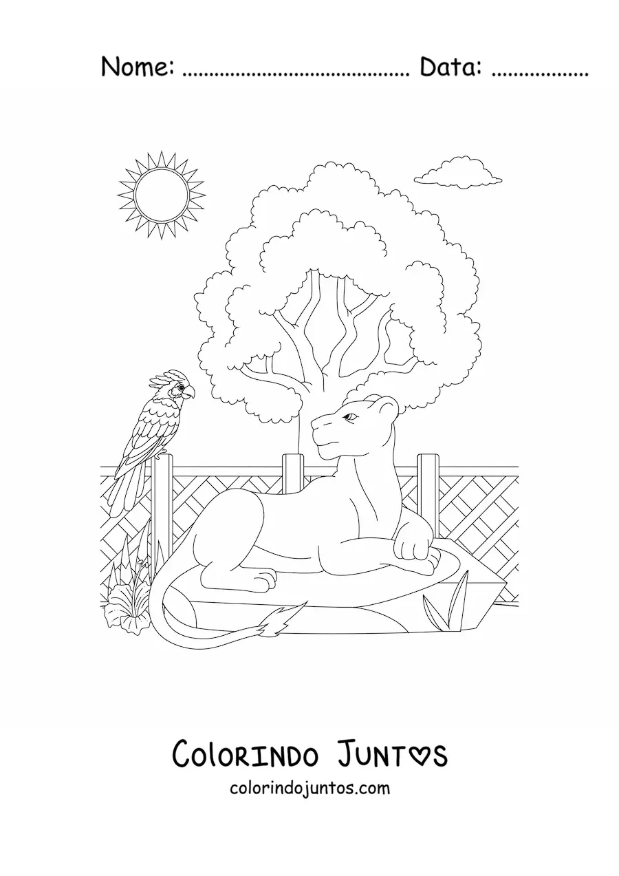 Desenho para colorir de uma leoa deitada junto a uma ave e uma arvore no zoologico