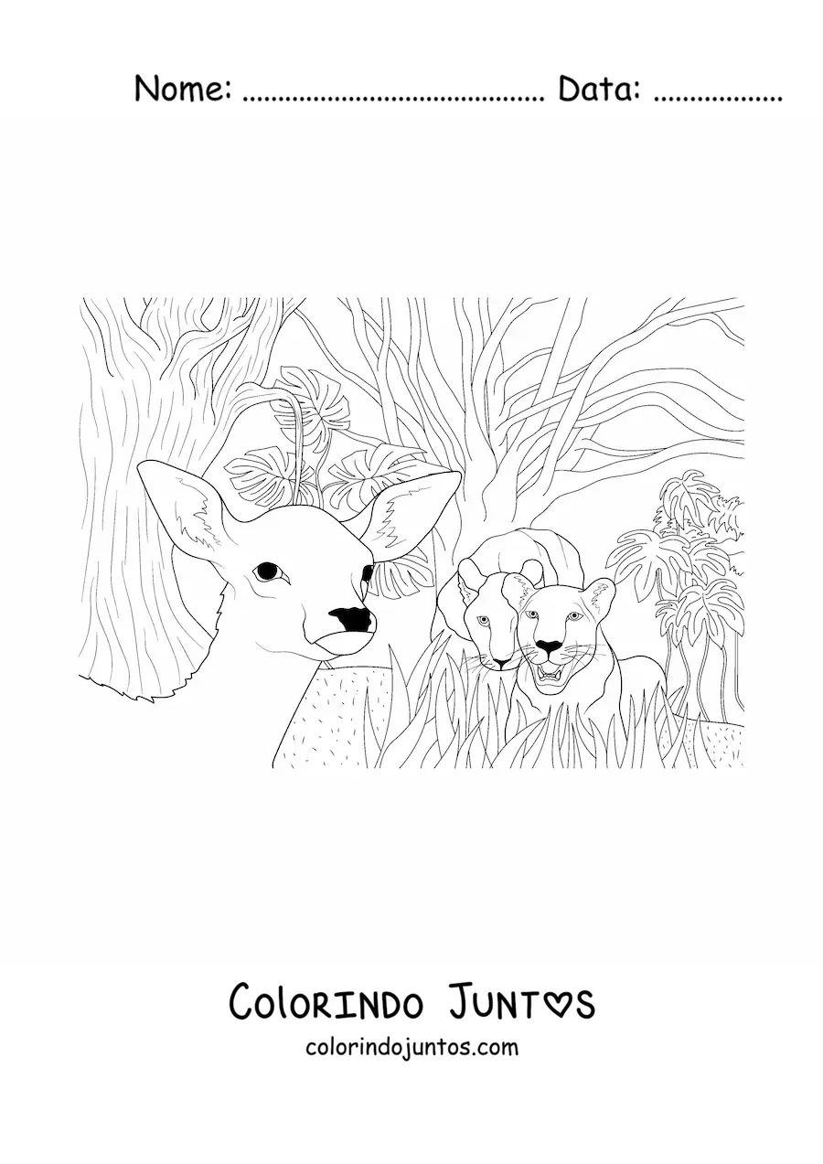 Desenho para colorir de um casal de leoes ferozes cacando um cervo na selva