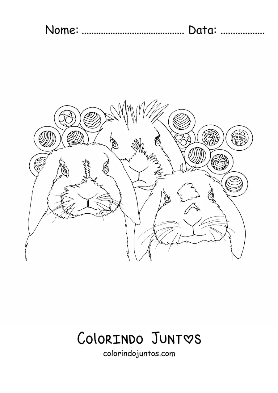 Desenho para colorir de tres coelhos realistas com um desenho de circulos com tramas ao fundo